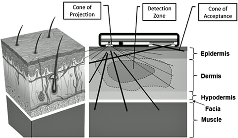 Sensors Insights 3 2017-09-08 Fig2 Photonic Design of the Reveal Biosensors’ PI Sensor.